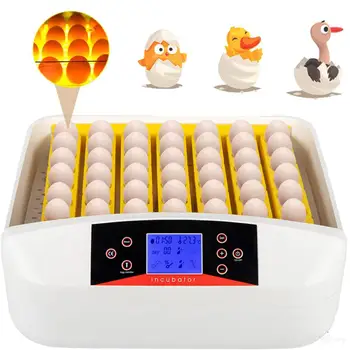 110V 220V 56 Ovo Incubadora Hatcher Digital Auto-Giro LED de Ovos mais Leves para Fertilizados de Galinha de Pato, Codorna Ovos de Aves Incubação