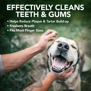 Animal De Estimação Limpeza Dos Dentes Dedo Toalhete Descartável Gato Cão Oral Cuidados De Limpeza Para O Cat Dog