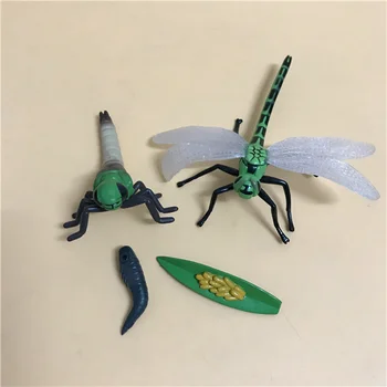 pvc modelo figura de brinquedo círculo da vida libélula boneca ornamentos 4pcs/set